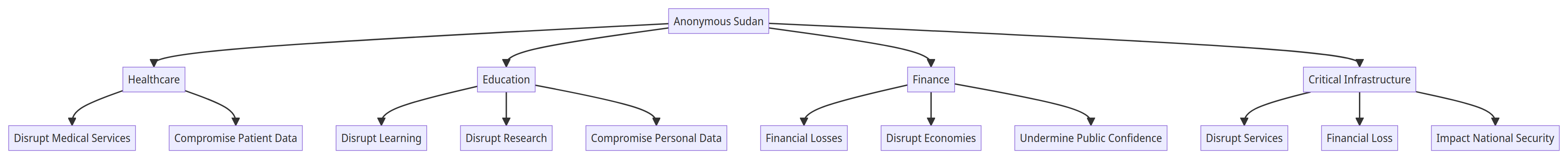 Anonymous Sudan their strategic approach