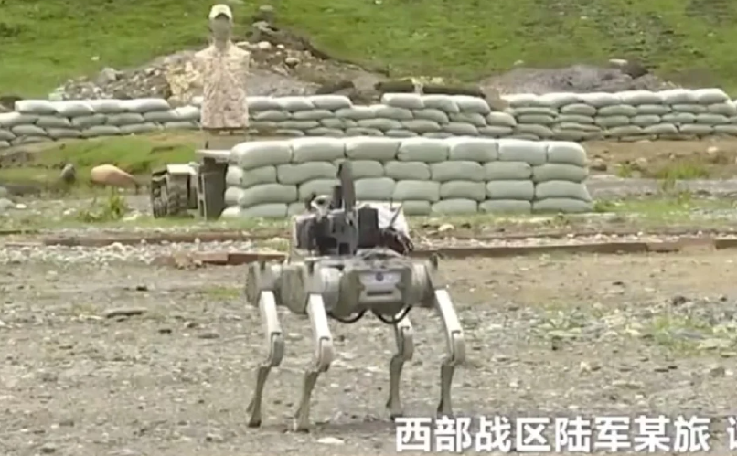 Chinese Military Robot Dog armed with weapon