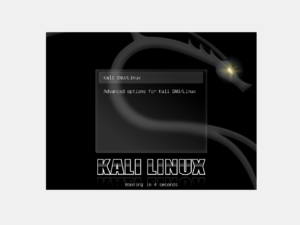 Kali Linux booting in Virtualbox VM